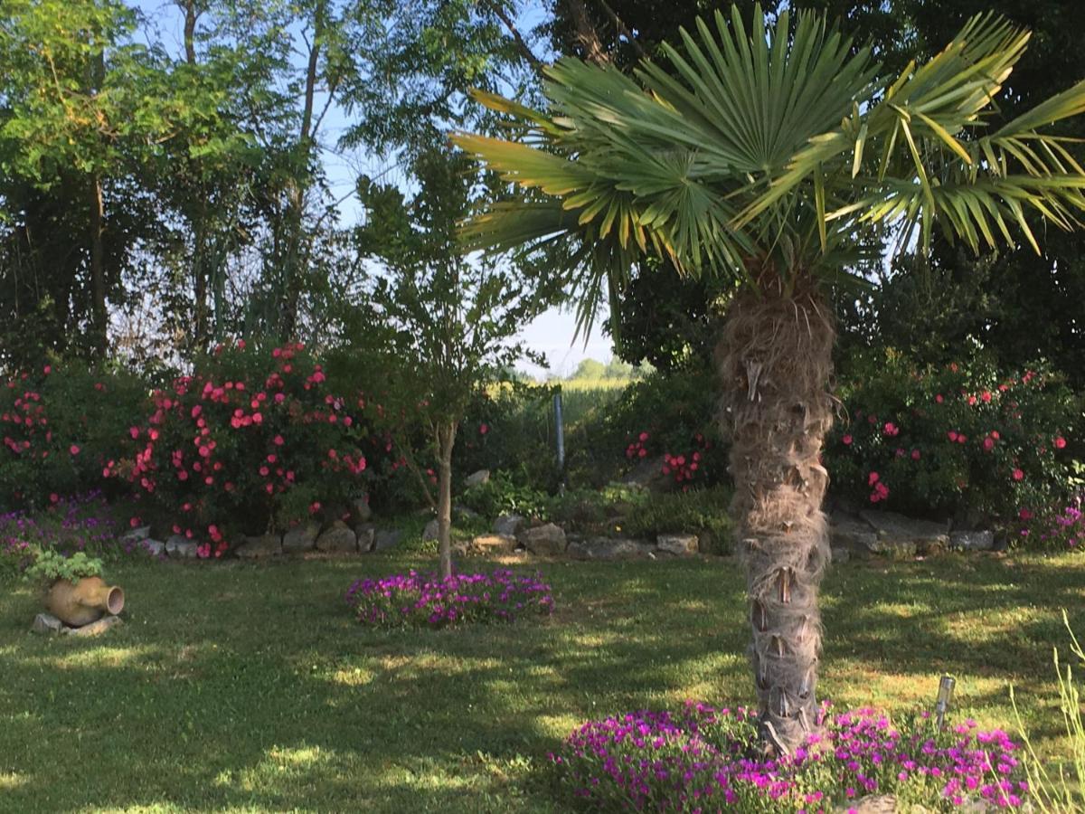 Appartement Mansarde Et Climatise 50 M2 Pompignan  Exterior foto